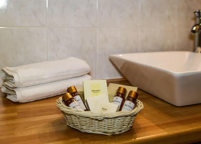 Hotel Logis Le Vieux Logis 3*